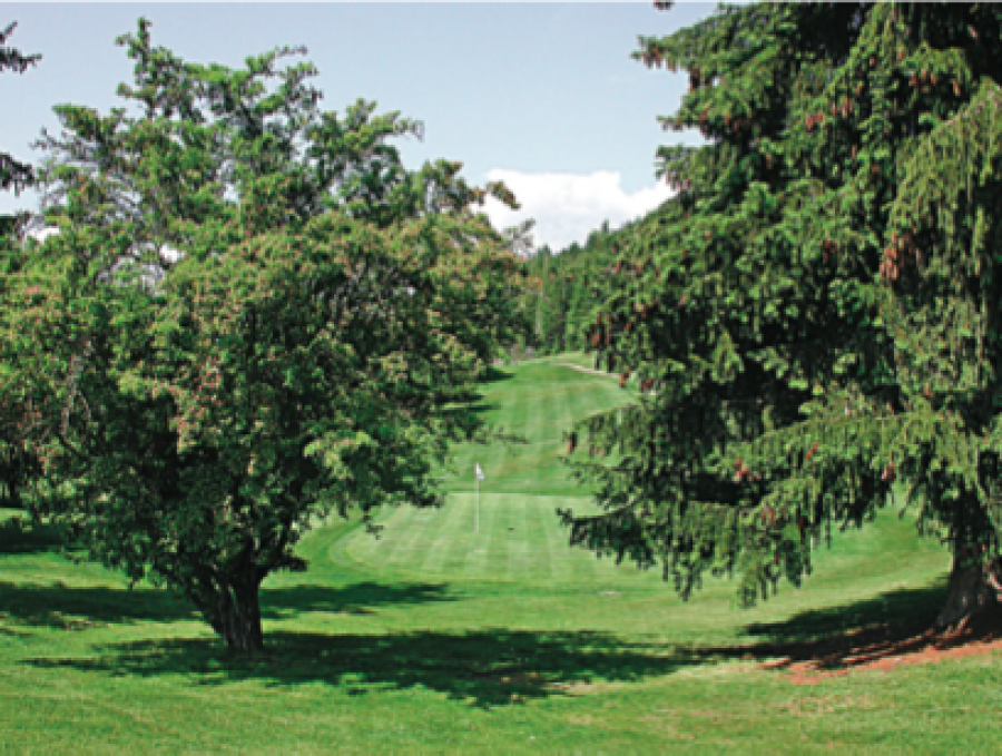 North Shuswap Golf Club