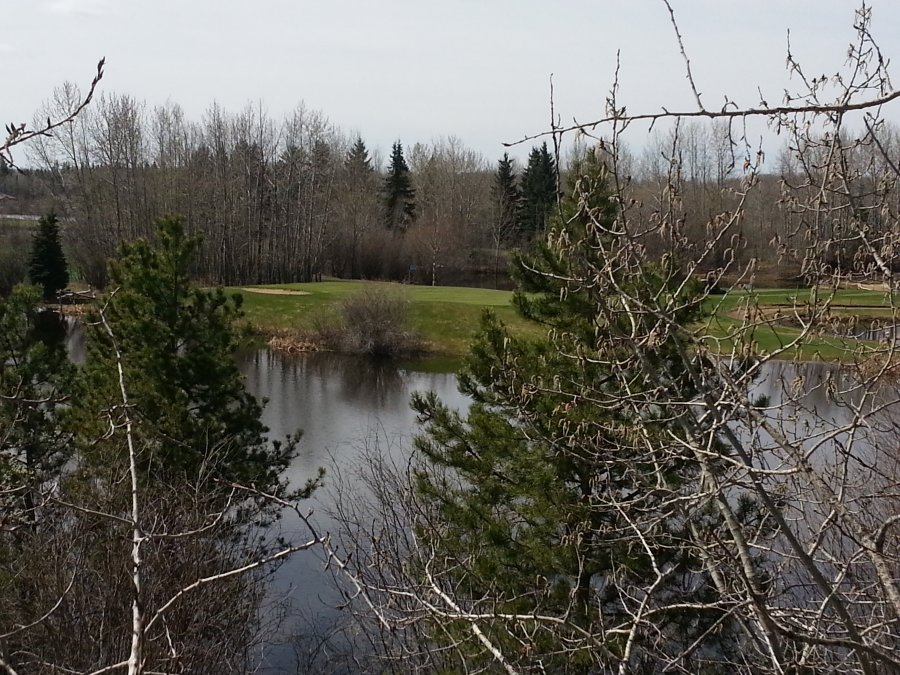 Goose Hummock Golf Resort